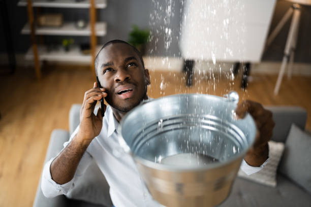 Best Water damage contractors near me  in Mason, TX