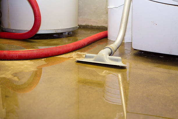 Best Water damage cleanup near me  in Mason, TX